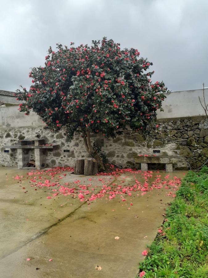 Basaltic Guest House Achadinha Esterno foto
